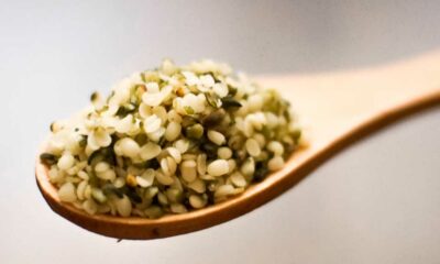 Allergie aux graines de chanvre