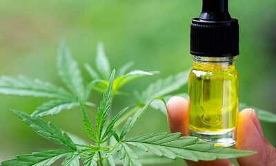 La Belgique rembourse le CBD pour l'épilepsie