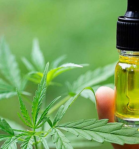 La Belgique rembourse le CBD pour l'épilepsie
