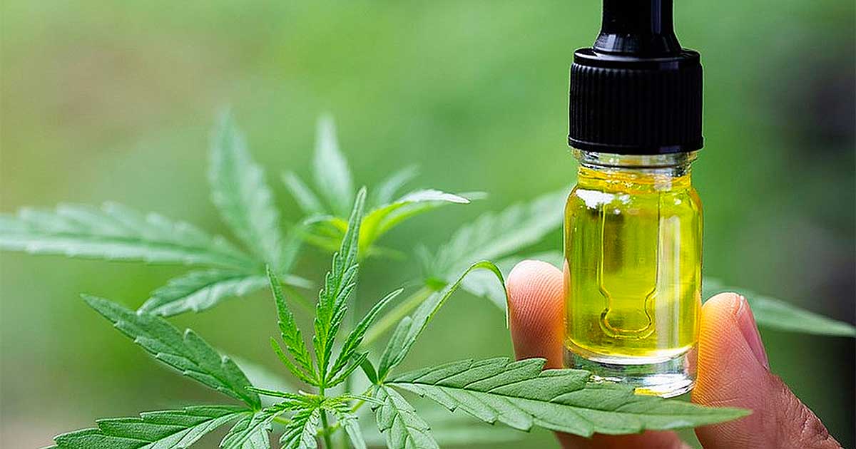 La Belgique rembourse le CBD pour l'épilepsie