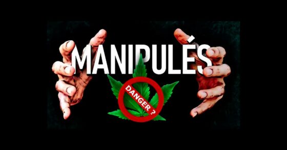 La guerre cachée contre le cannabis : la France est-elle manipulée pour alimenter la prohibition ?