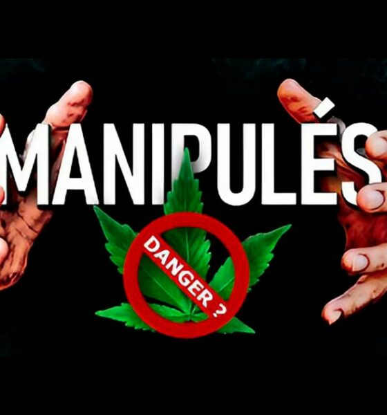 Prohibition française manipulée