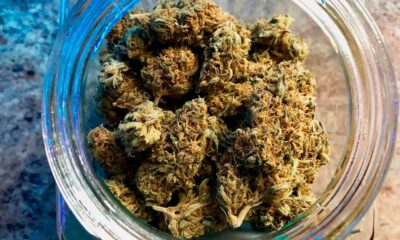 Droit au cannabis pour les prisonniers allemands
