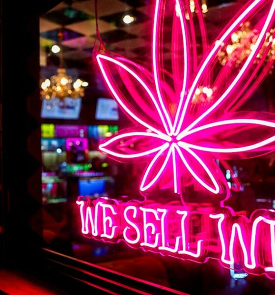 Régulation médicale du cannabis en Thaïlande