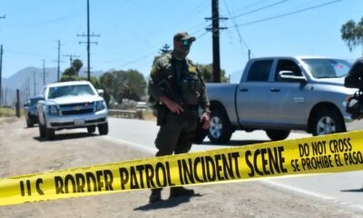Raid dans une ferme de cannabis en Californie