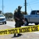 Raid dans une ferme de cannabis en Californie