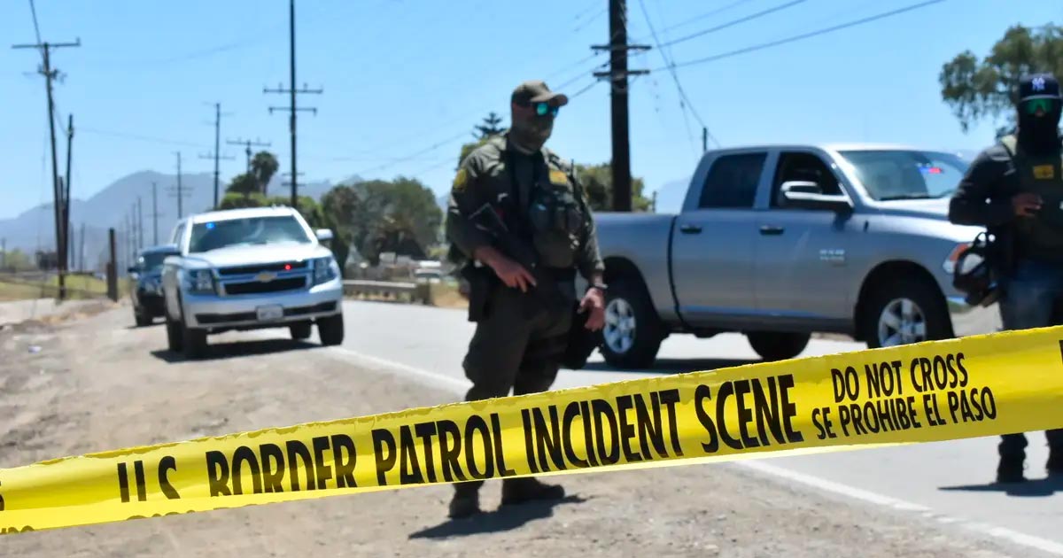Raid dans une ferme de cannabis en Californie