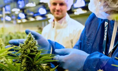 Tilray fournit du cannabis médical en Italie
