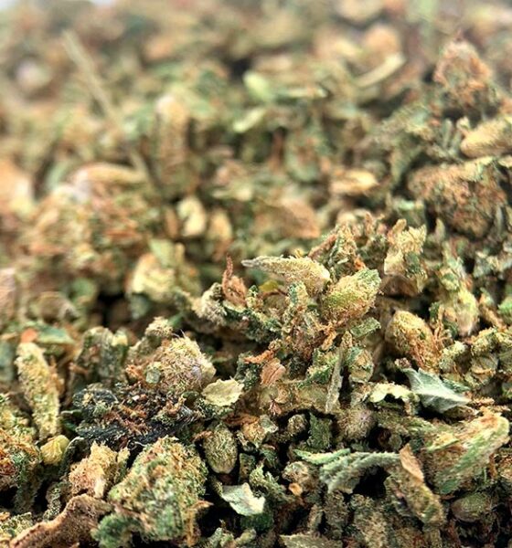 Trim CBD Cbdoo