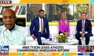 Tyson incite Trump à légaliser le cannabis