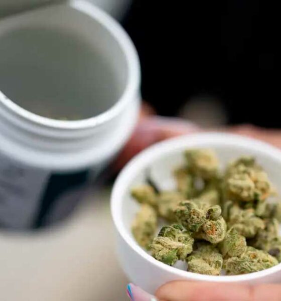 Ventes légales de cannabis en Allemagne