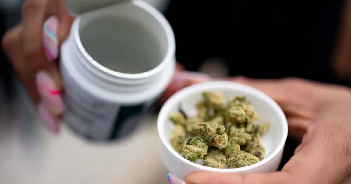 Ventes légales de cannabis en Allemagne