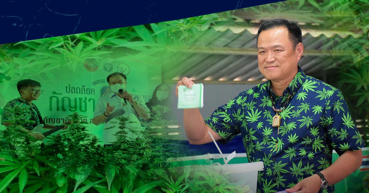 Premier ministre pro-cannabis en Thaïlande