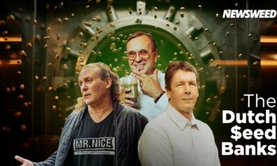 Banques de graines de cannabis néerlandaises
