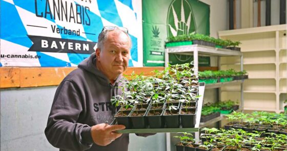 La Bavière bloque les Cannabis Clubs