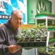 Blocage des Cannabis Clubs en Bavière