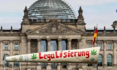 Consommation de cannabis chez les jeunes allemands