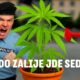 Czexperiment