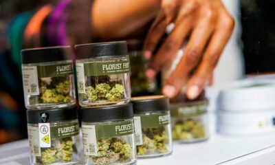 Ventes de cannabis à New York en 2025