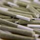 Le prix des pre-rolls aux Etats-Unis augmente