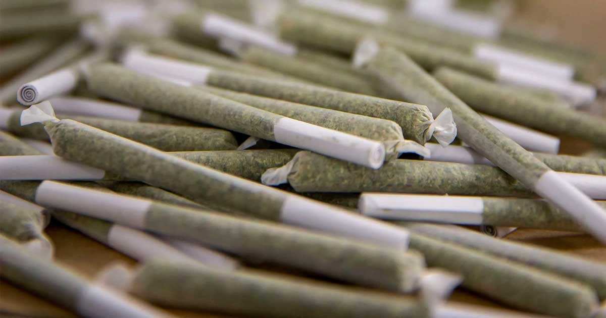 Le prix des pre-rolls aux Etats-Unis augmente