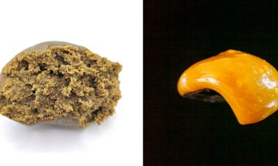 Résine ou rosin