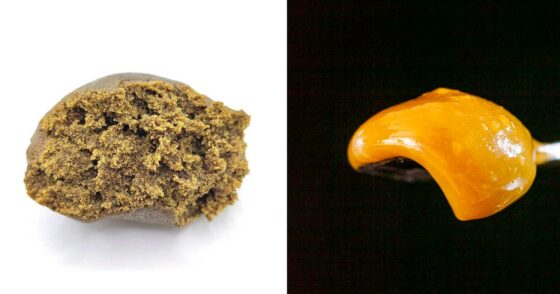 Rosin ou résine : comment choisir ?