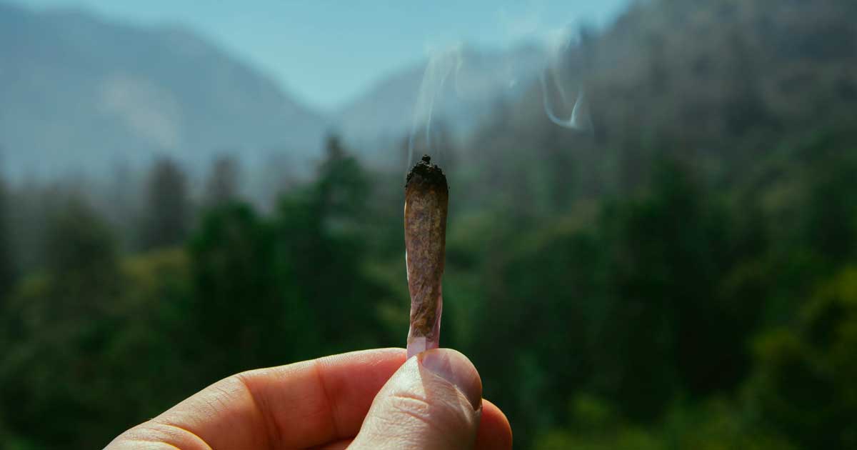 Trail et cannabis
