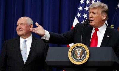 Trump vante le CBD pour les seniors