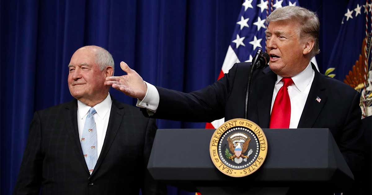 Trump vante le CBD pour les seniors