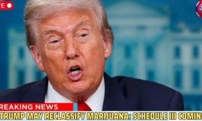 Reclassification du cannabis aux Etats-Unis