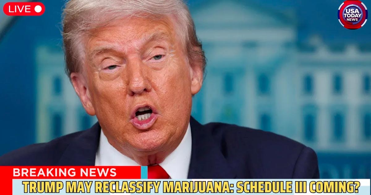 Reclassification du cannabis aux Etats-Unis