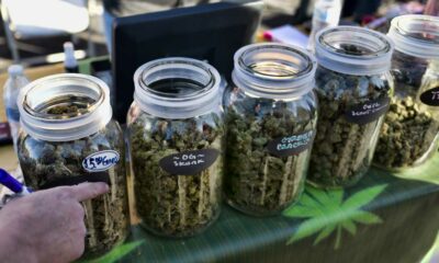 Vente de cannabis pendant les festivals à Calgary