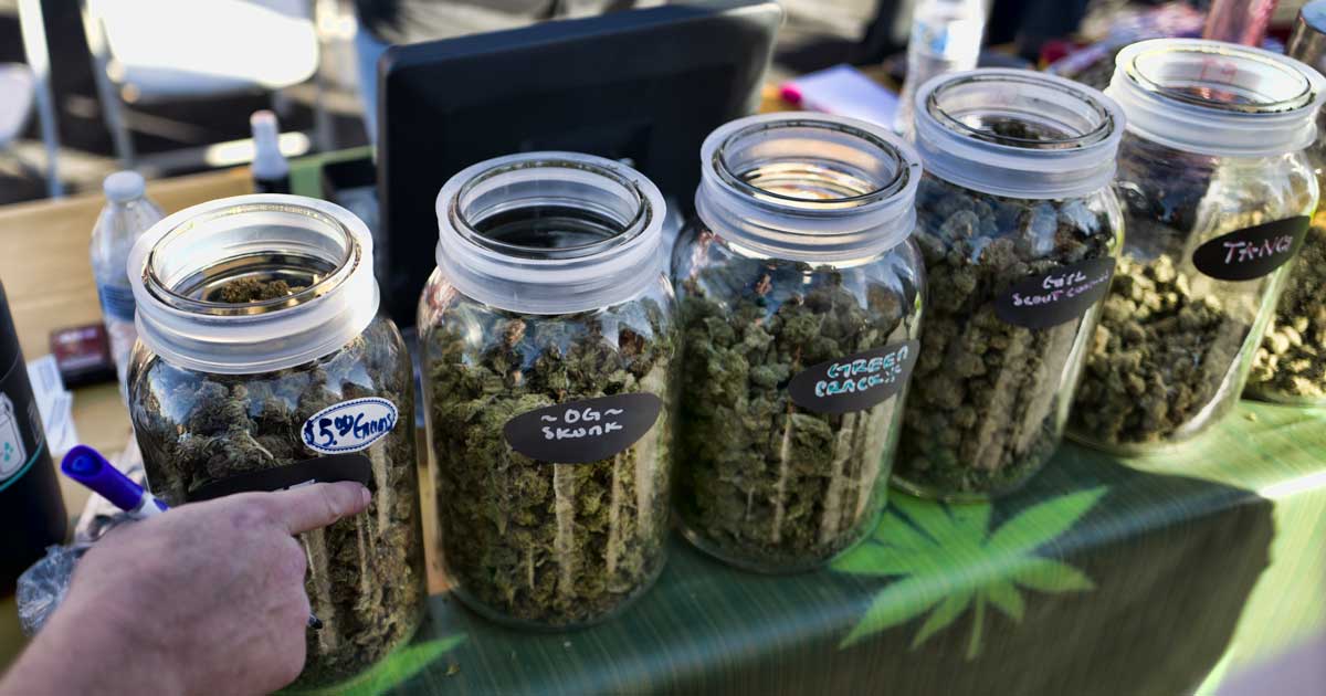 Vente de cannabis pendant les festivals à Calgary