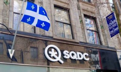 Baisse de la consommation de cannabis au Québec