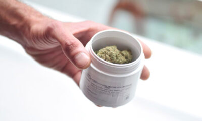 Formation des médecins au cannabis médical
