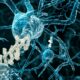 CBD pour la mémoire et contre Alzheimer