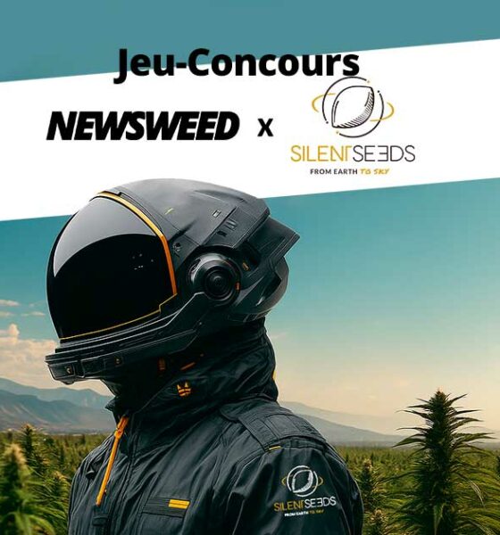 Concours Silent Seeds