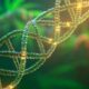 Etude sur l'ADN et l'abus de cannabis