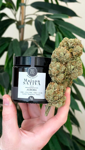 Maison Sativa CBD bloemen