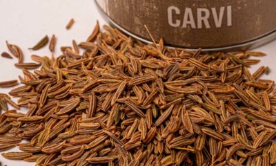 Synthèse du CBD à partir du carvi