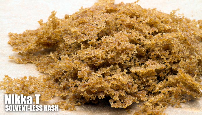 De Nikka T hash