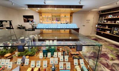 Au Massachusetts, recul de la légalisation du cannabis