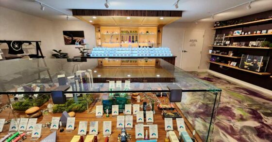 Au Massachusetts, une campagne veut faire reculer la légalisation du cannabis