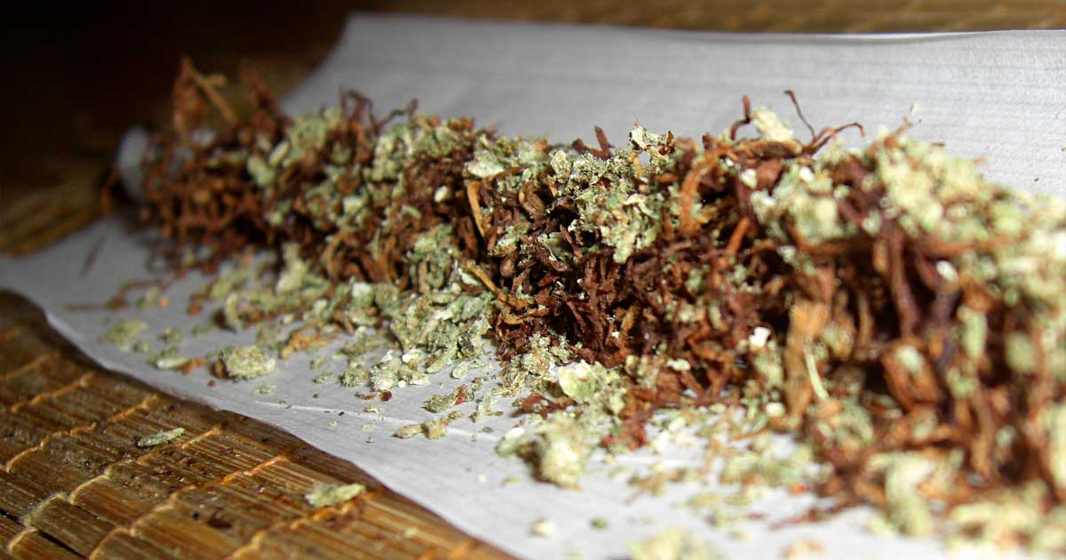 Tabac et cannabis sur la chimie du cerveau
