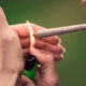 Tendance de consommation de cigarette et cannabis