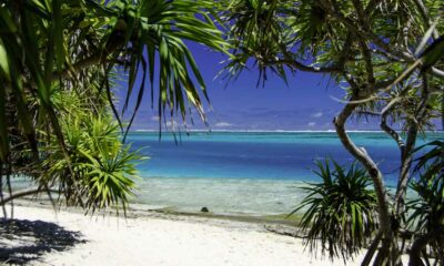 Chanvre et cannabis médical au Vanuatu