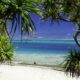 Chanvre et cannabis médical au Vanuatu