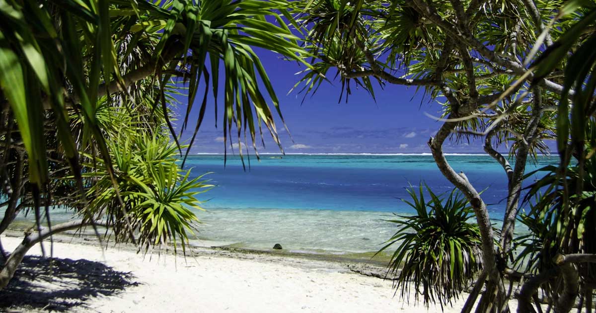 Chanvre et cannabis médical au Vanuatu