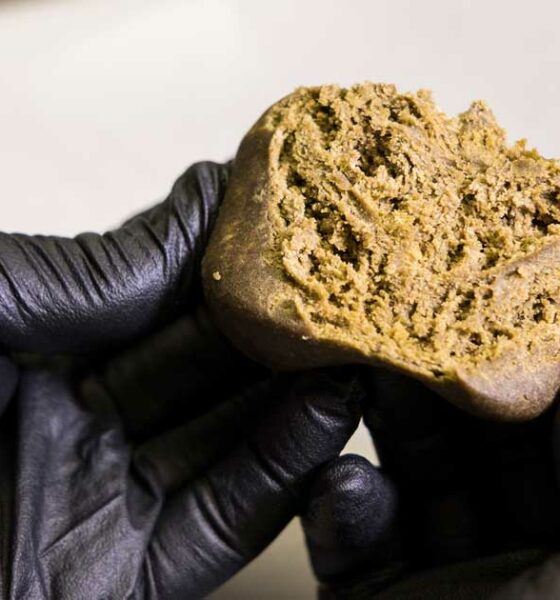 Vieillissement du hash marocain